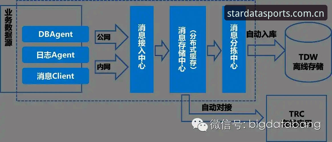 揭秘星空体育专业版：数据背后的真相与深度体验